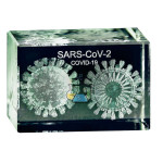 Coronavirus 3D Model in Glass